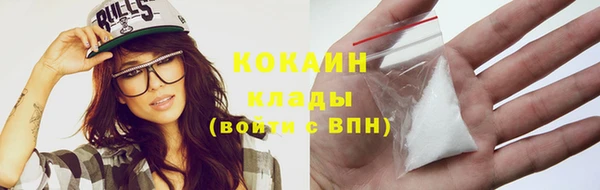 мдпв Вязьма