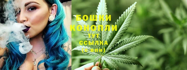 метадон Вяземский