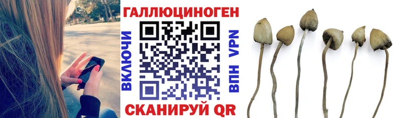 Купить закладки  Касимов  Галлюциногенные грибы мицелий 