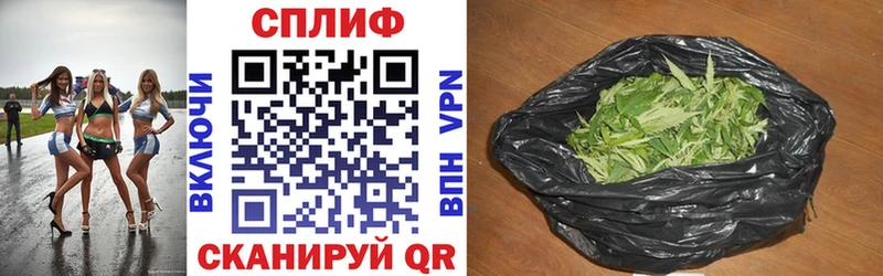 Каннабис сатива  Купить  Касимов 